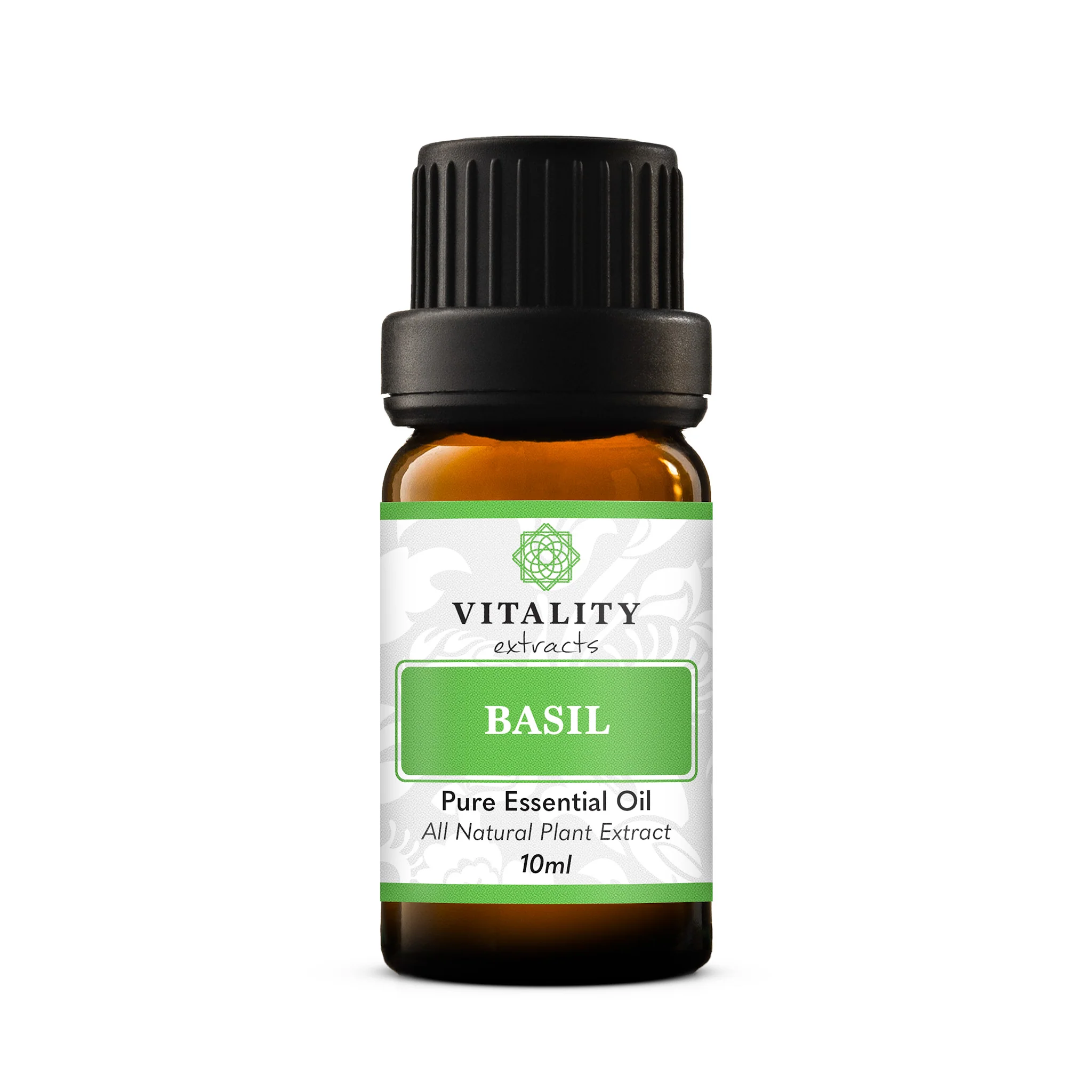 Basil - Image 8