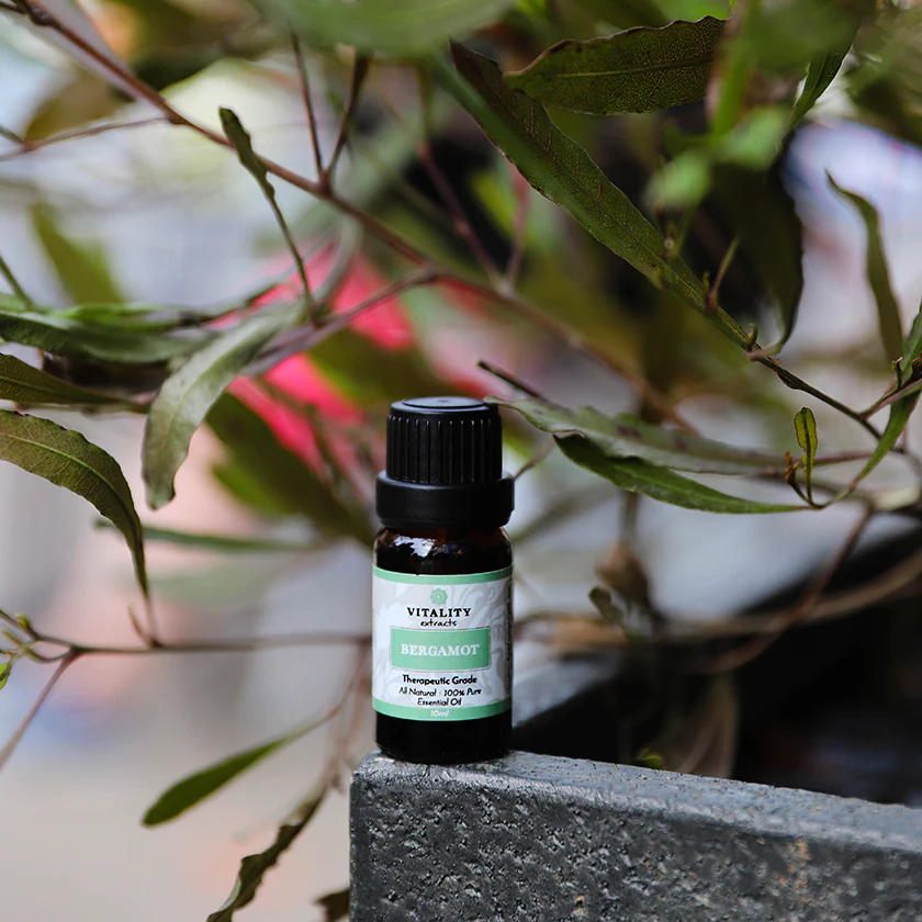 Bergamot - Image 2