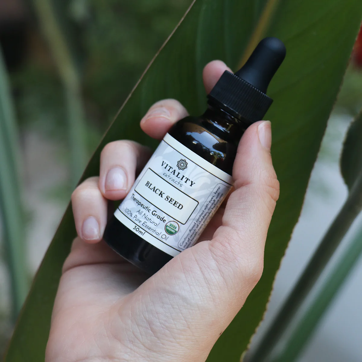 Black Seed Oil (Organic) - Image 3