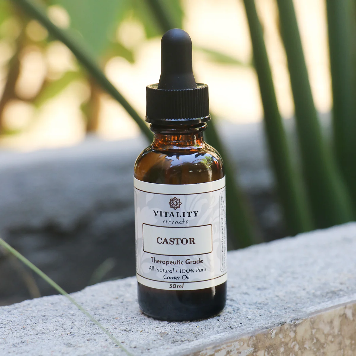 Castor Oil - Image 3