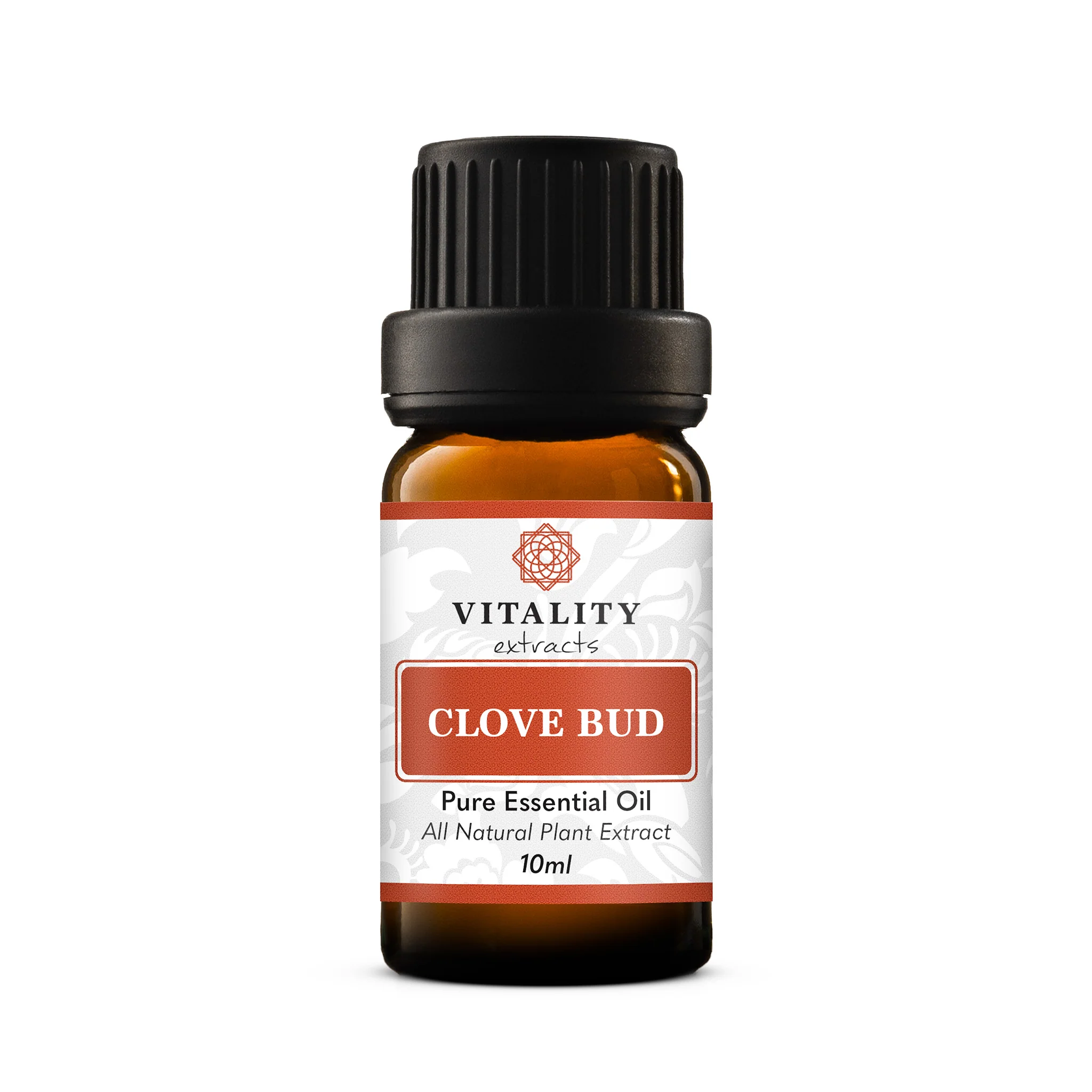 Clove Bud - Image 3