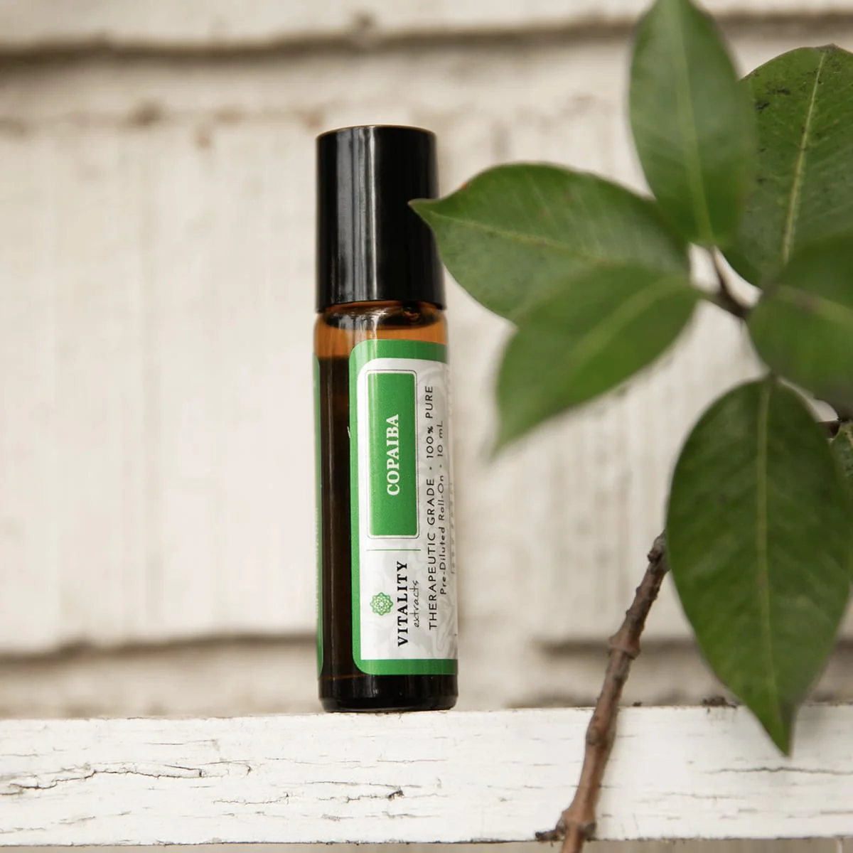 Copaiba - Image 8
