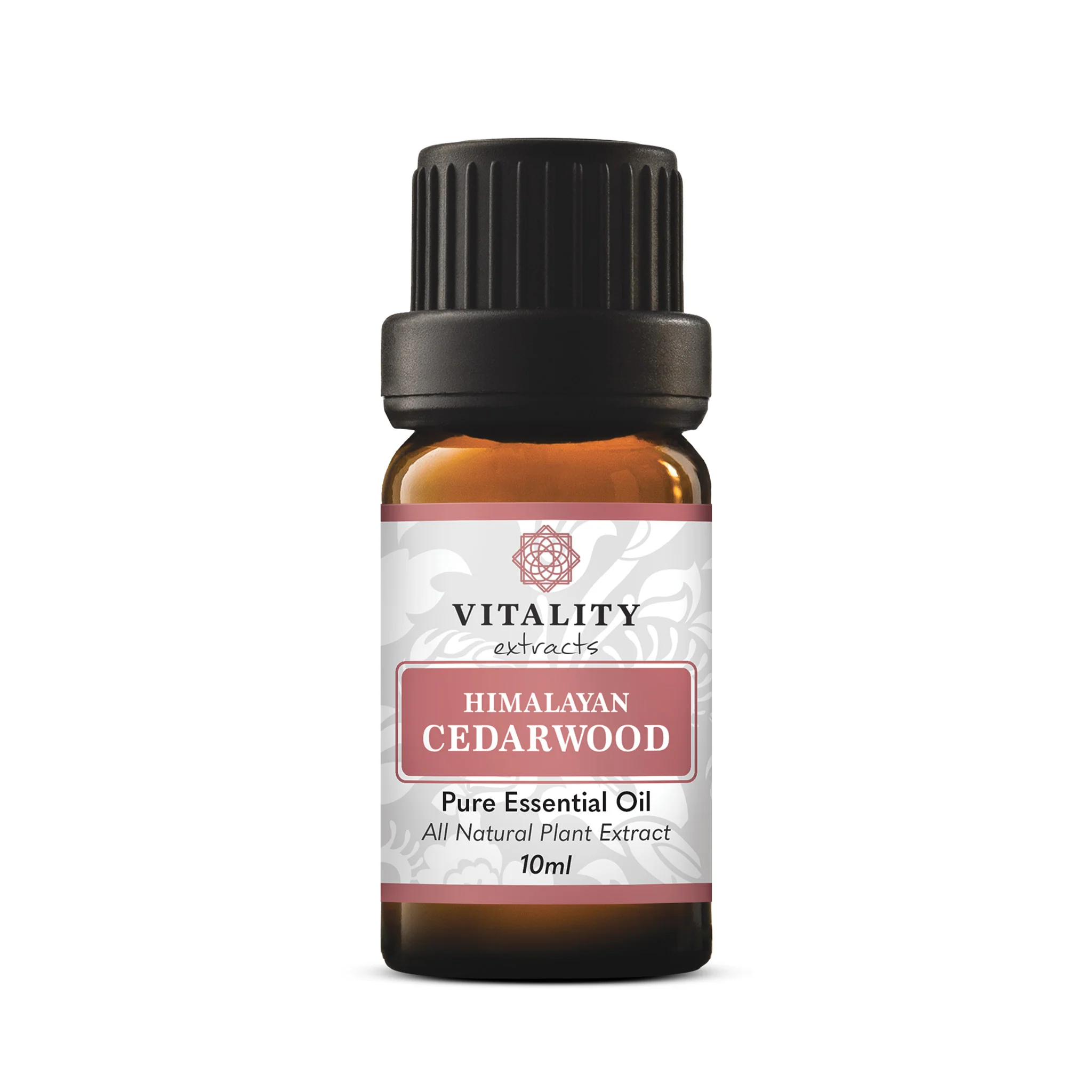 Himalayan Cedarwood - Image 2