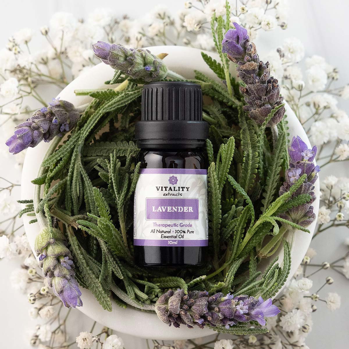Lavender - Image 6