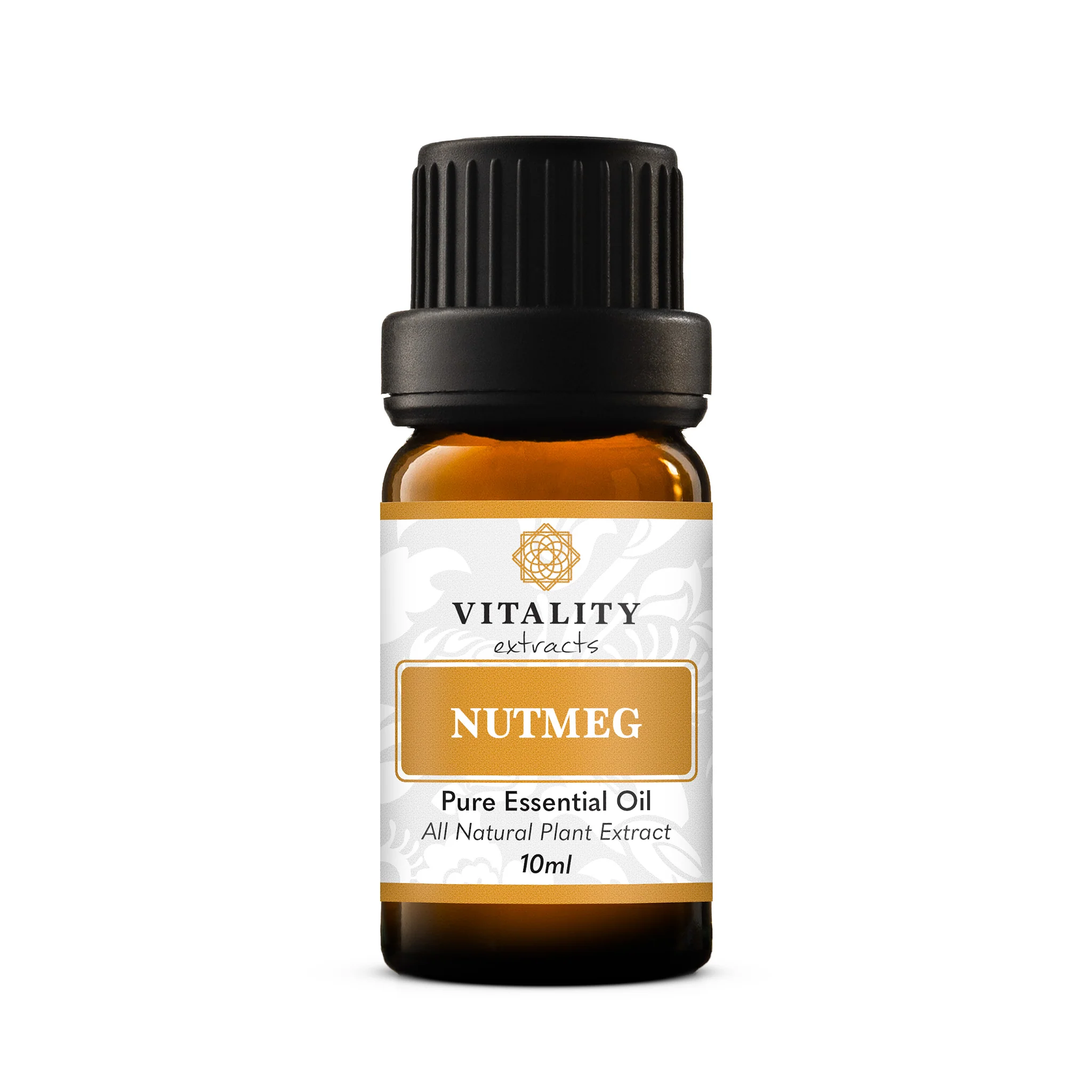 Nutmeg - Image 3