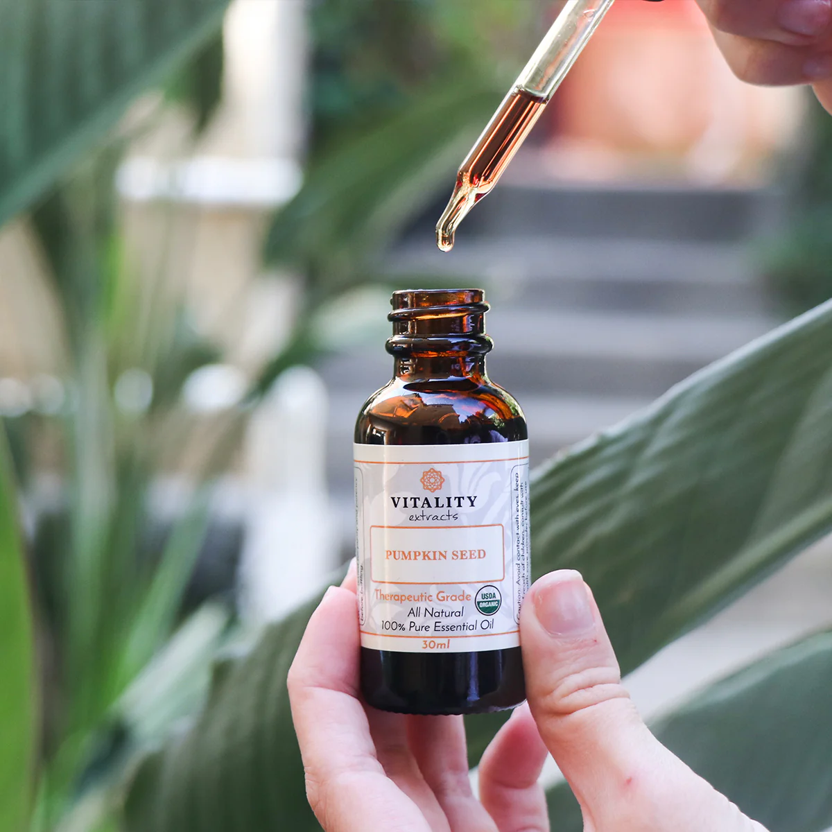 Pumpkin Seed Oil (Organic) - Image 2