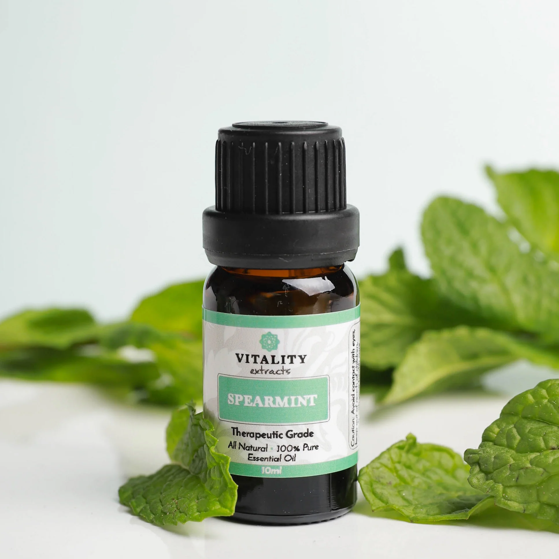 Spearmint - Image 3