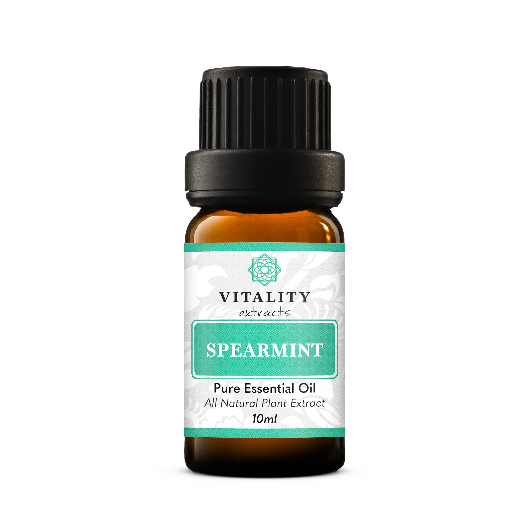 Spearmint - Image 6