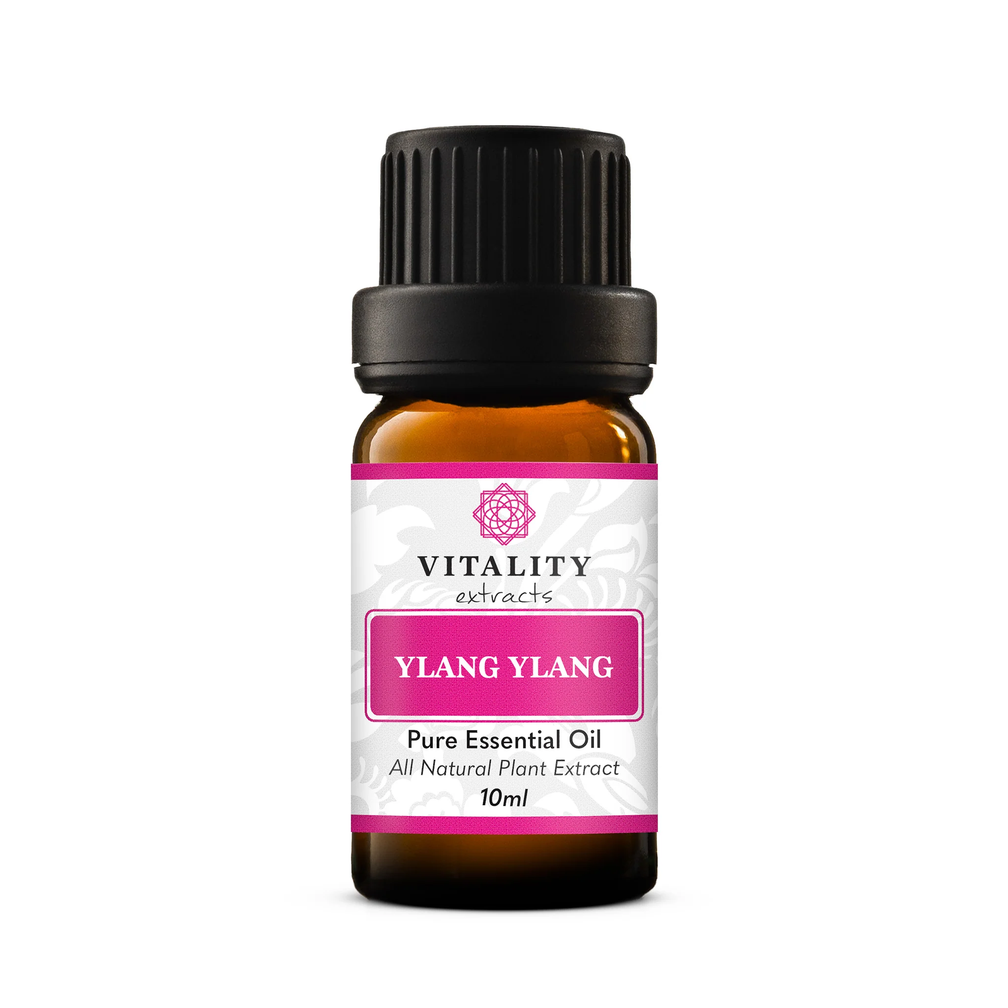 Ylang Ylang - Image 4